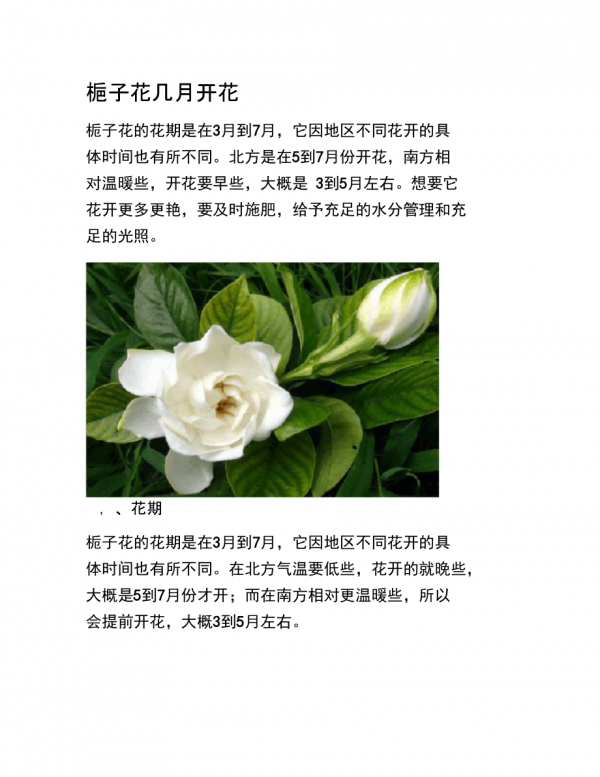栀子花花期养护方法