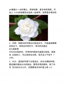 栀子花花土配制方法 栀子花花土制作步骤
栀子花花土制作指南