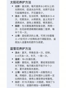 绣球花花期养护方法 绣球花花期护理指南