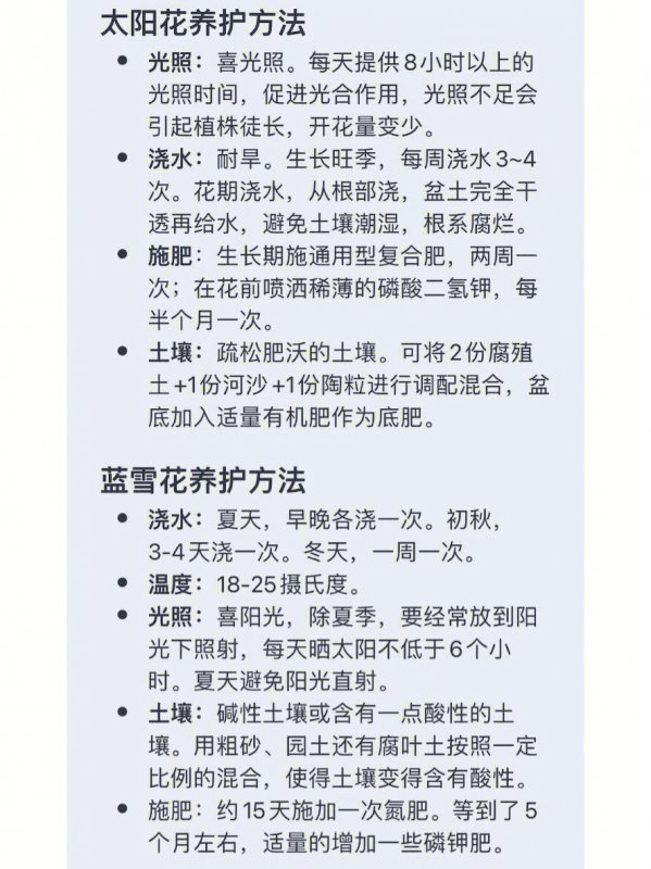 绣球花花期养护方法