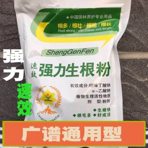 红掌底肥放什么肥好 红掌适合施用哪种肥料效果更好？