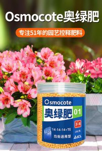 绣球花底肥放什么肥好 绣球花底肥适合施用哪种肥料？