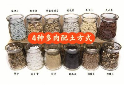 玉露配土方法与比例 玉露土配比方法