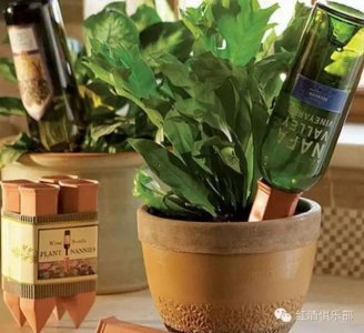过期的红酒可以浇花吗 可以用过期的红酒浇花吗？
