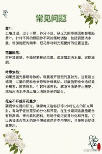栀子花如何快速开花 栀子花怎样能迅速开放