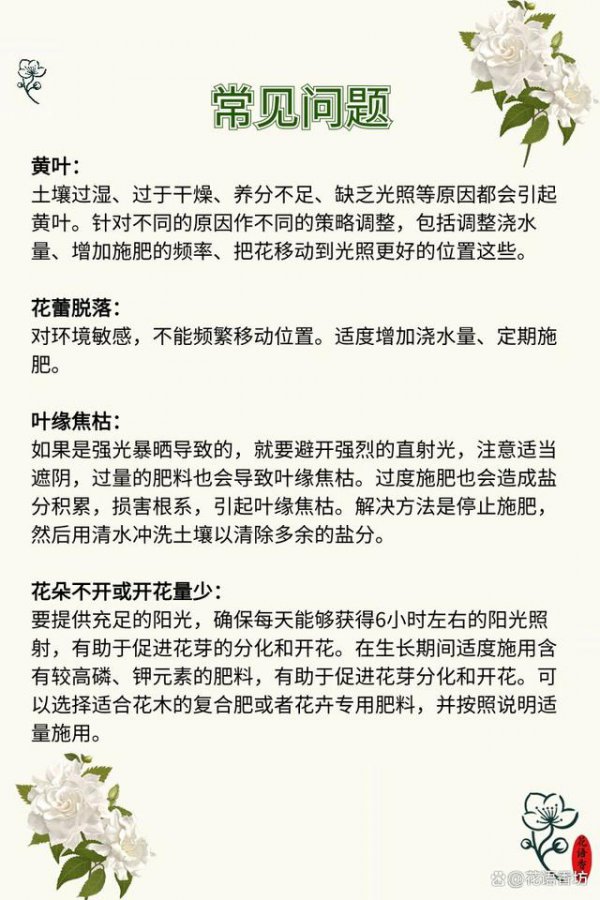 栀子花如何快速开花