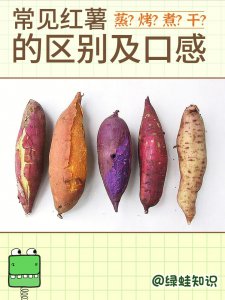 番薯是凉性的还是热性的食物 番薯的性质是属于凉性还是热性？