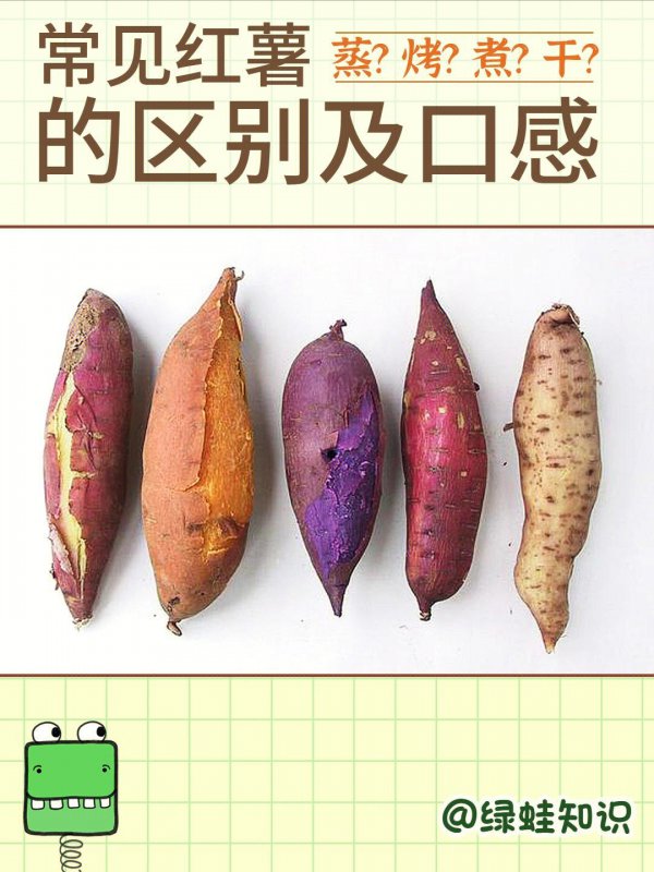 番薯是凉性的还是热性的食物