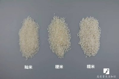 五常大米是籼米还是粳米 五常大米到底是粳米还是籼米？
