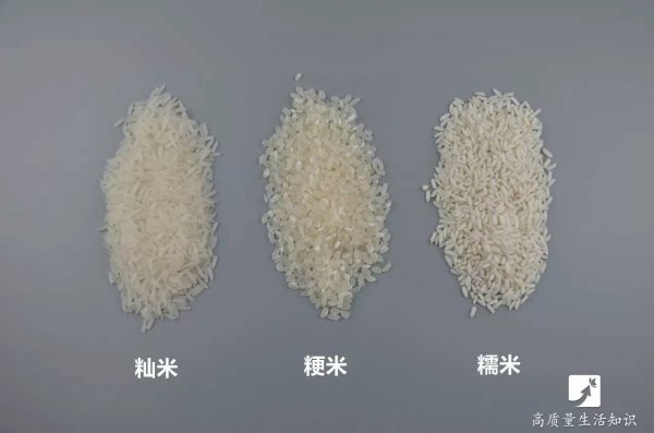 五常大米是籼米还是粳米
