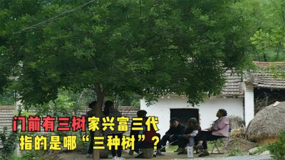 门前种三树家兴旺三代 门前栽三株家门兴旺