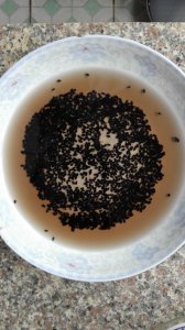 芝麻炒之前要洗吗 芝麻在炒之前需要清洗吗？