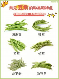 豆角是热性还是凉性蔬菜 豆角属于热性还是凉性的蔬菜？