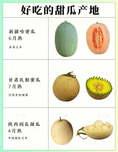 甜瓜是热性还是凉性食物 甜瓜的性质是热还是凉？