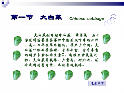 白菜是热性还是凉性蔬菜 白菜属于热性还是凉性蔬菜？