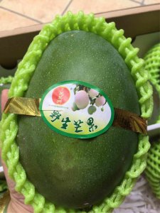 青芒果是热性还是凉性水果 青芒果属于热性还是凉性水果？