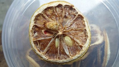 柠檬籽能吃吗吃了好还是不好 柠檬籽可以食用吗？有益还是有害？