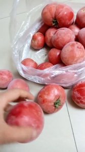 西红柿能放冰箱吗 番茄适合冷藏保存吗？