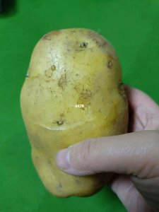 土豆发芽了把芽削掉能吃吗 土豆发芽了去掉芽还能食用吗？
