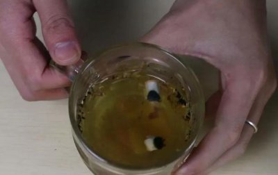 烟丝泡水浇花可杀虫吗 烟丝水浇花能杀虫吗？