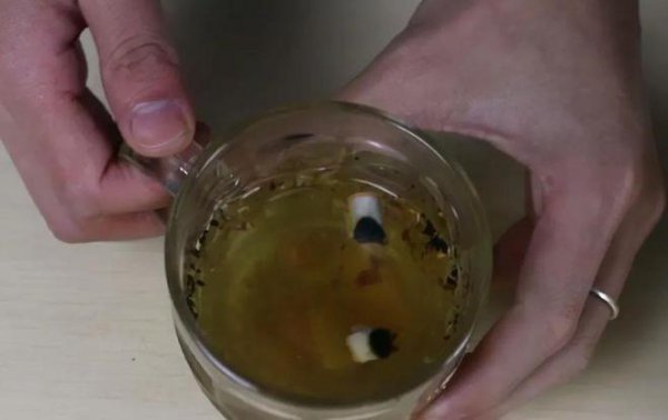 烟丝泡水浇花可杀虫吗