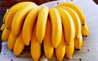 什么香蕉品种最好吃排行 哪种香蕉最美味排名最高？