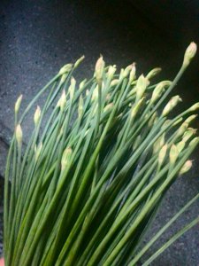 韭菜花的花能吃吗 韭菜花可食用吗？