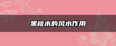 黑檀木的风水作用 黑檀木的风水效应