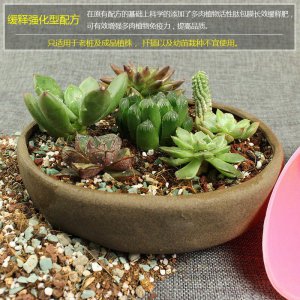 种盆景用什么土最好 盆景最适合使用什么土壤？