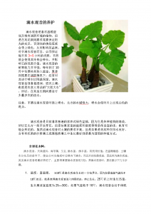 水培观音怎么养才能更旺盛 水培观音繁殖技巧共享