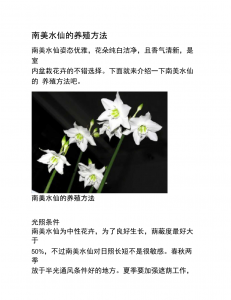 水培花怎么养才能更旺盛 水培花如何培养才能更茂盛