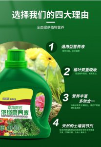 盆栽营养液怎么用 盆栽营养液的正确使用方法