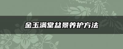 金玉满堂盆景养护方法 盆景养护技巧