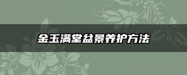 金玉满堂盆景养护方法