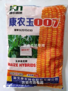 益农玉14玉米种子简介 益农玉14号玉米种子概述