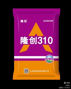 隆创310玉米种介绍 隆创310玉米种特点解析