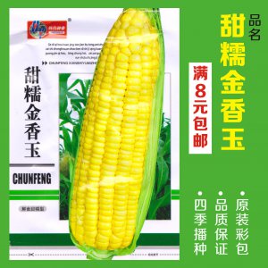 玉米种子哪个品种最好 哪个品种的玉米种子最优？