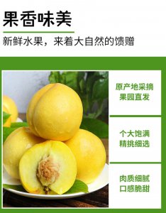 黄金蜜4号桃品种介绍 黄金蜜4号桃品种特点揭秘