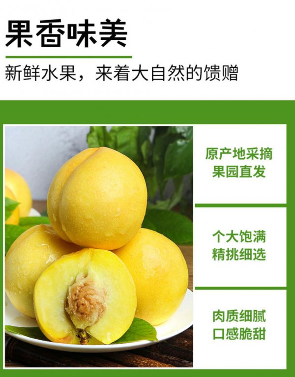 黄金蜜4号桃品种介绍