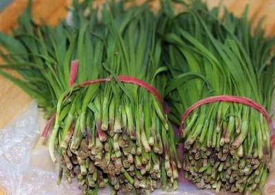 韭菜为什么不能吃头茬 为何韭菜头部不能食用？