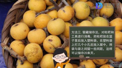 枇杷放冰箱好还是不放冰箱好 枇杷冷藏好还是不冷藏好