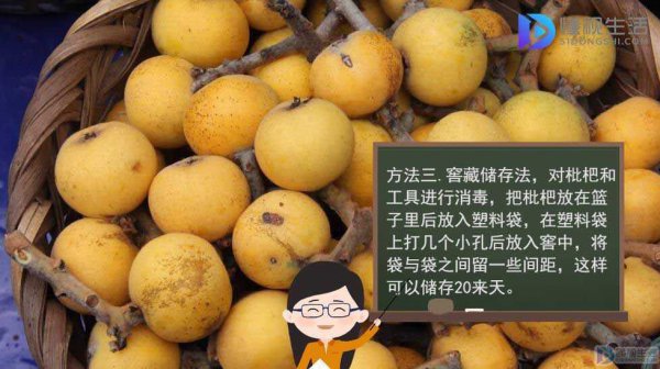 枇杷放冰箱好还是不放冰箱好