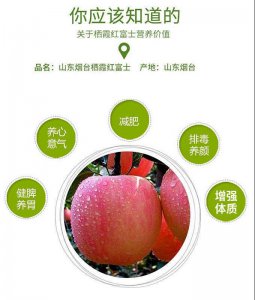 蜜脆苹果品种介绍 蜜脆苹果品种概述