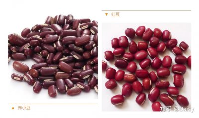 赤小豆和红小豆的区别在哪里 赤小豆与红小豆的区别在哪里？