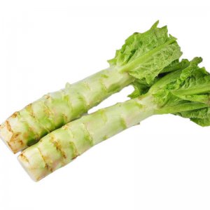 莴笋是什么季节的蔬菜 莴笋是哪个季节的蔬菜