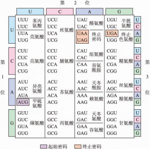 植物的遗传密码可以修改吗 植物的遗传密码是否可以被改变？