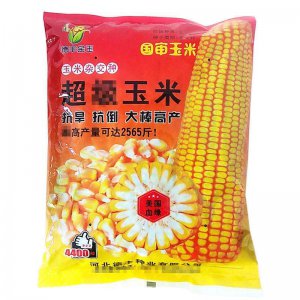金奥608玉米种介绍 金奥608玉米种特点介绍
