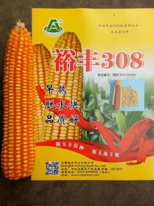 裕丰308玉米种子简介 裕丰308玉米种子概要