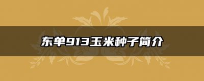 东单913玉米种子简介 东单913品种玉米种子介绍