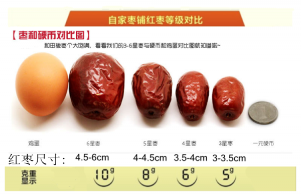 中国十大名枣排名榜